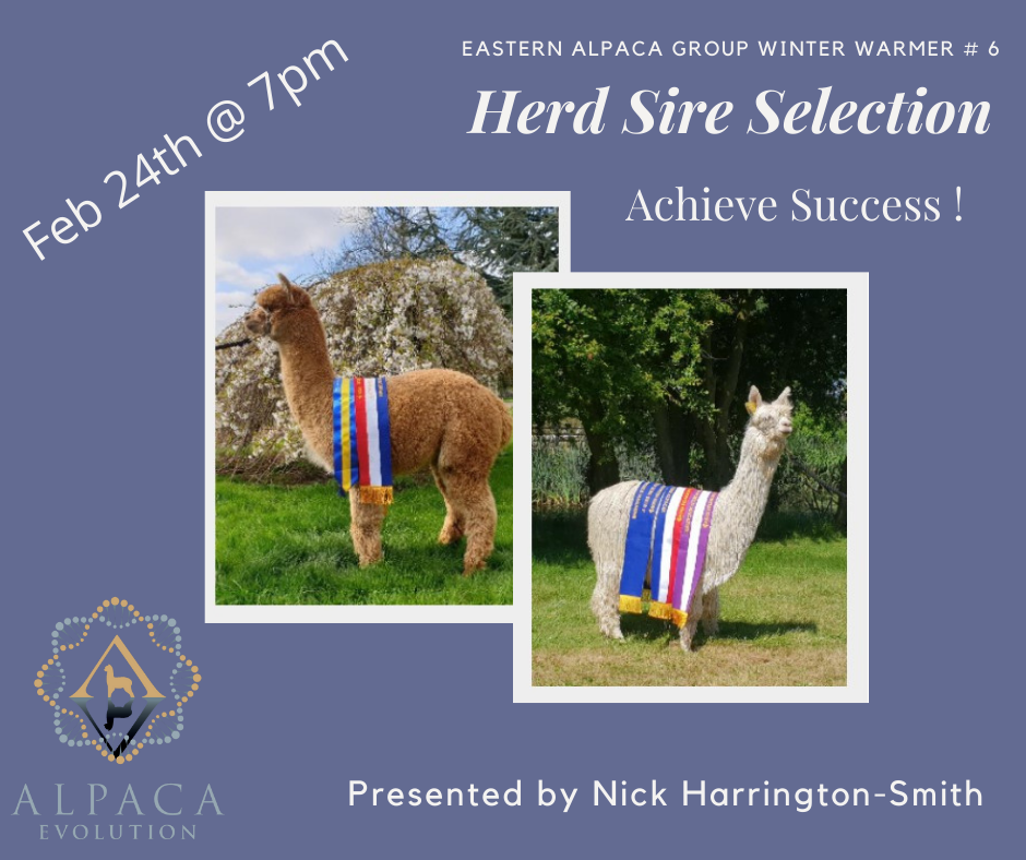 herd sire selection